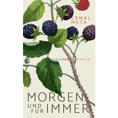 Abbildung von Morgen und für immer: Roman
