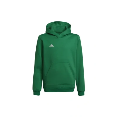 Abbildung von adidas Unisex Kinder Entrada 22 Sweat Hoodie, Team Green/White, 152