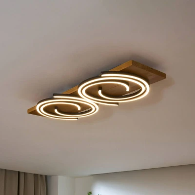 Abbildung von ECO LIGHT LED Deckenleuchte »LED RIFIA«, 2 flammig, Leuchtmittel Board fest integriert