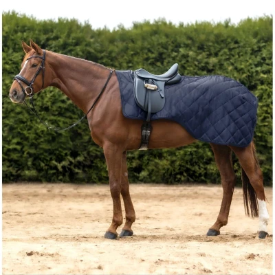 Abbildung von Waldhausen Ausreitdecke Exclusive Nightblue Vollblut