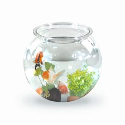 Abbildung von Mobiclinic® Pets, Kugelaquarium, Nemo, 4 Liter, PET ECO Kunststoff, Transparentes Design, 20x20x17,5cm, Leicht zu reinigen, Robust, Ideal zur Wohnungsdekoration, Wasserpflanzen