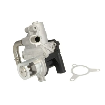 Abbildung von DELPHI EG10493 12B1 AGR Ventil ohne Kühler Hochdruckseite RENAULT: SCENIC 3, CLIO Modus / Grand