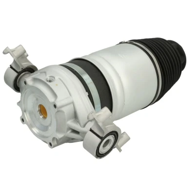 Abbildung von Magnum Technology MZW003MT Luftfeder, Fahrwerk Hinterachse, links
