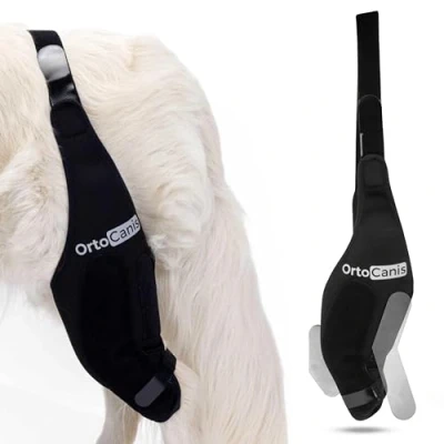 Abbildung von Ortocanis Kniebandage Hund Hinterbein Linkes Bein Größe XL Bandage für Hunde mit Bänderriss oder Patellaluxation Leckschutz Ellenbogenbandage