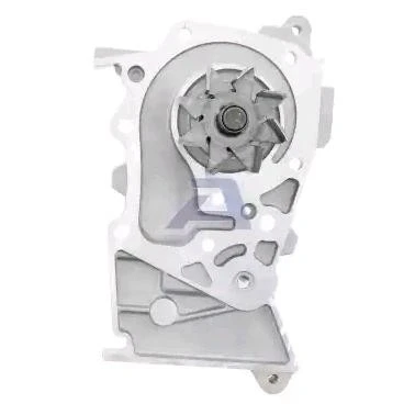 Abbildung von AISIN WPN 925 Wasserpumpe mit Dichtungen RENAULT: SCENIC 3, Kangoo II Express, LAGUNA DACIA: Duster Van, Logan I MCV