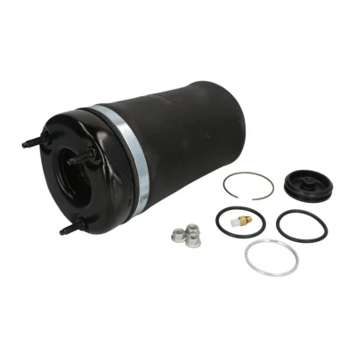 Abbildung von Luftfederbein MAGNUM TECHNOLOGY MZM009MT