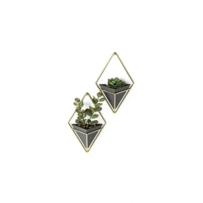 Abbildung von Umbra Trigg Wandvase &amp; Geometrische Deko Übertopf Für Zimmerpflanzen, Sukkulenten, Luftpflanzen, Kakteen, Kunstpflanzen und Mehr, Schwarz/Messing, 2er Set, Klein