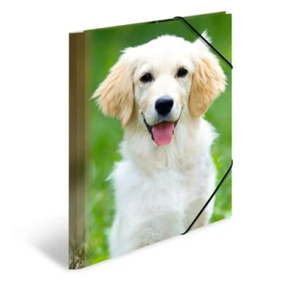 Abbildung von HERMA Sammelmappe A4 Hunde, Kinder Eckspanner Mappe aus Kunststoff mit Tier Motiv, Gummizug, Innenklappen und Innendruck für Jungen Mädchen