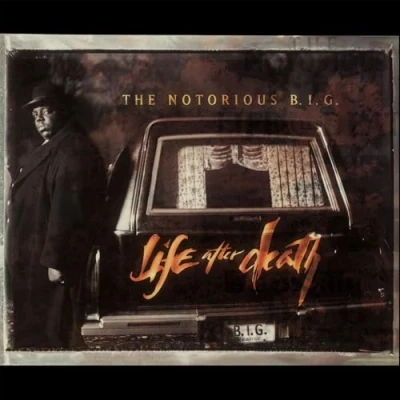 Abbildung von Life After Death [Vinyl LP]