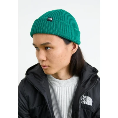 Abbildung von The North Face Fisherman Beanie Unisex Mütze, Größe: One Size, Evergreen