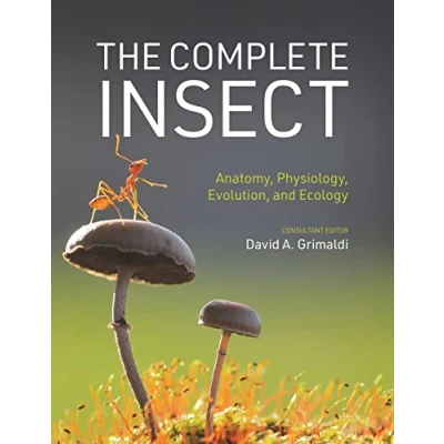 Abbildung von The Complete Insect: Anatomy, Physiology, Evolution, and Ecology