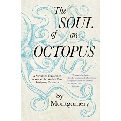 Abbildung von the Soul of an Octopus: A Surprising Exploration into Wonder Consciousness