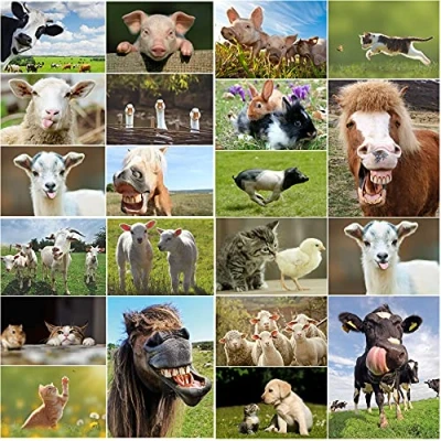 Abbildung von Edition Colibri BAUERNHOF TIERE Postkarten Set für Kinder (SCHAFE, SCHWEINE, KÜHE, PFERDE, KATZEN etc.) 20 verschiedene Motive