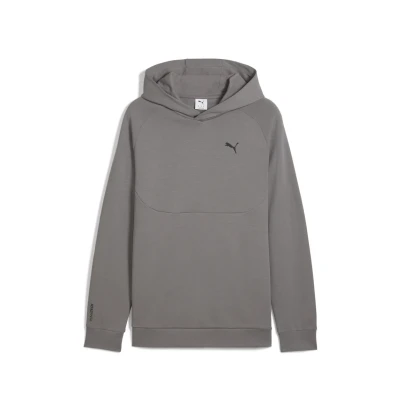 Abbildung von Puma Kapuzenpullover, Herren, Größe: XS, Cast iron