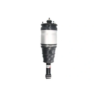 Abbildung von Magnum Technology APL015MT Luftfederbein hinten LAND ROVER: Discovery 3
