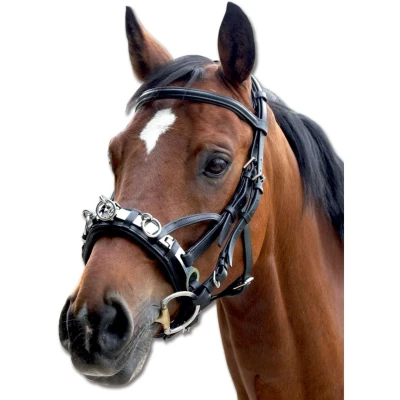 Abbildung von Waldhausen Kapzaum Leder Warmblut