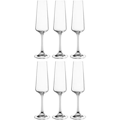 Abbildung von Leonardo Paladino Sekt Gläser, 6er Set, spülmaschinenfeste Prosecco Kelch mit gezogenem Stiel, Champagner 220 ml, 066309