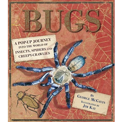 Abbildung von Bugs: A Pop up Journey into the World of Insects, Spiders and Creepy crawlies