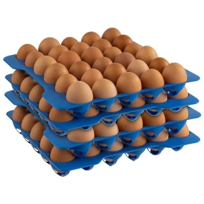 Abbildung von APS 10 Lagen zu Eier Box, Aufbewahrung für Eier, je Lage á 30 28,5 x cm, 6,5 cm Höhe