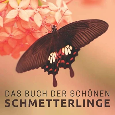 Abbildung von Das Buch der schönen Schmetterlinge: Bildband für Senioren und Demenzkranke (Bildbände Aktivitäten Senioren)
