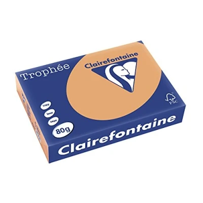Abbildung von Clairefontaine 1879C Ries Druckerpapier / Kopierpapier Trophee, Pastell Farben, DIN A4, 80g, 500 Blatt, Camel, 1