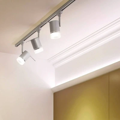 Abbildung von Paulmann Schienensystem Leuchten »URail Schienenspot Pipe Einzelspot GU10 max. 10W 230V«, (1 tlg.), dimmbar, GU 10