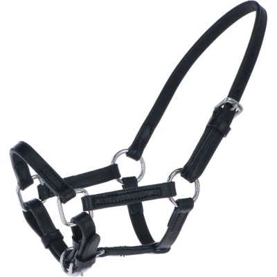Abbildung von HB Leather mini Foal Halter