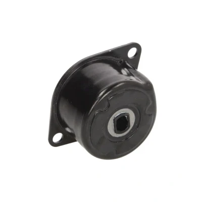 Abbildung von INA 534 0172 10 Spannarm, Keilrippenriemen VOLKSWAGEN: TRANSPORTER 4 Bus