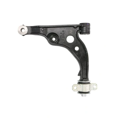Abbildung von FAG 821 0809 10 Querlenker Stahlguss FIAT: Ducato II Platform/Chassis