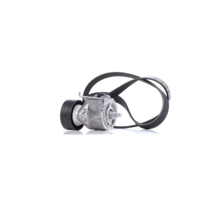 Abbildung von DAYCO KPV110 Keilrippenriemensatz FIAT: 500 Hatchback, Doblo II Box Body / Estate, Punto Hatchback