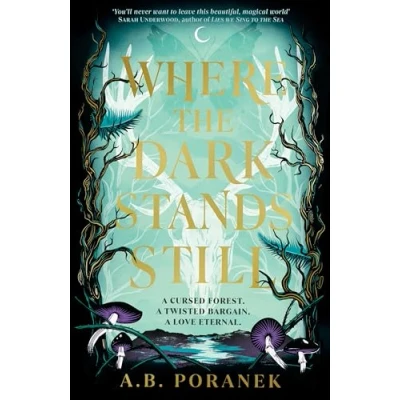 Abbildung von Where the Dark Stands Still: A sweeping, gothic YA fairytale romance