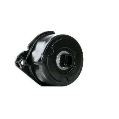 Abbildung von FEBI BILSTEIN 30117 Riemenspanner BMW: 5 Touring, 3 Saloon, Saloon
