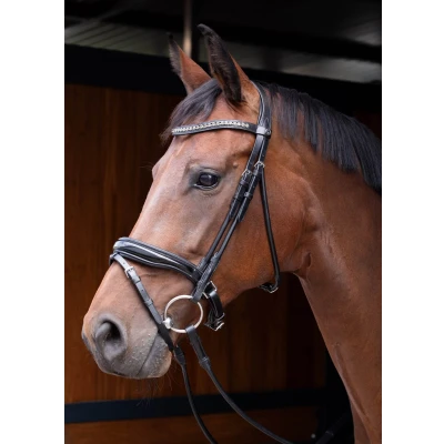 Abbildung von Harry&#039;s Horse Zaum Lacque Rundgenäht Schwarz Warmblut