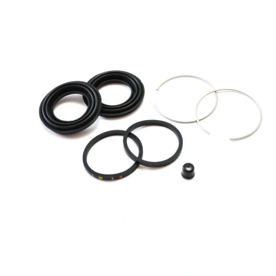 Abbildung von AUTOFREN SEINSA D4835 Bremssattel Reparatursatz Hinterachse 40 LEXUS: IS I Saloon, Sportcross