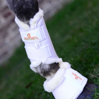 Abbildung von Kentucky Horsewear Hufglocken Sheepskin Leather Weiß XL Agradi.deVerkauft von Agradi