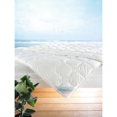 Abbildung von Frankenstolz f.a.n. Wash Cotton Sommer Bettdecke, 135x200 cm, Weiß