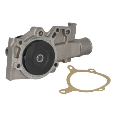 Abbildung von Saleri SIL PA669 Wasserpumpe mechanisch FORD: Escort 5, FIESTA 3
