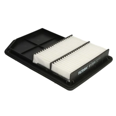 Abbildung von FILTRON AP 120/6 Luftfilter 42 205 305 Filtereinsatz MITSUBISHI: OUTLANDER 3