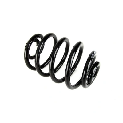 Abbildung von Magnum Technology SR039MT Fahrwerksfeder Hinterachse Schraubenfeder RENAULT: CLIO 2, 2 Kasten