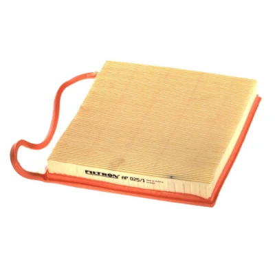 Abbildung von FILTRON AP 025/1 Luftfilter 41 287 356 Filtereinsatz BMW: 3 Saloon, 5 Touring, ALPINA: B3 Touring
