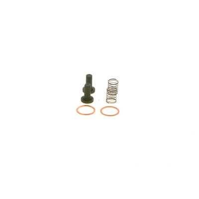 Abbildung von BOSCH 2 447 010 011 Kraftstofffilter Filtereinsatz mit Zubehör