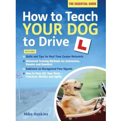 Abbildung von HOW TO TEACH YOUR DOG DRIVE: The Essential Guide