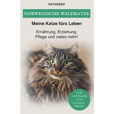 Abbildung von Norwegische Waldkatze: Ernährung, Erziehung, Pflege und vieles mehr!