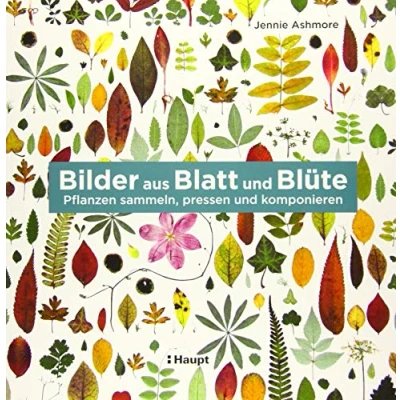 Abbildung von Bilder aus Blatt und Blüte: Pflanzen sammeln, pressen komponieren