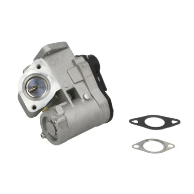 Abbildung von AGR Ventil EASY FIT NRF 48666