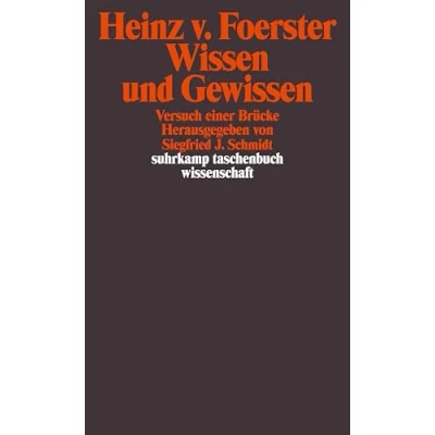 Abbildung von Wissen und Gewissen: Versuch einer Brücke (suhrkamp taschenbuch wissenschaft)