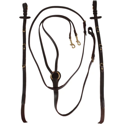 Abbildung von Horka Thiedemanzügel braun/gold Warmblut
