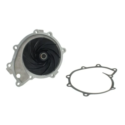 Abbildung von DOLZ M652 Wasserpumpe