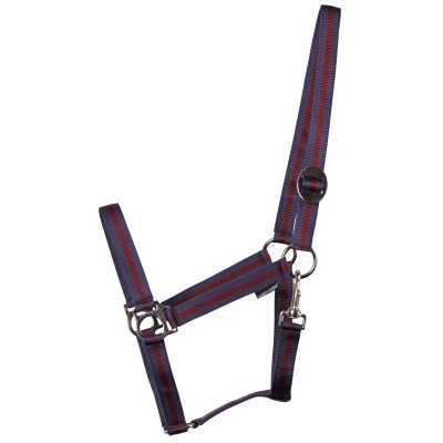 Abbildung von Harry&#039;s Horse Halfter Economy Cob Bordeaux Navy