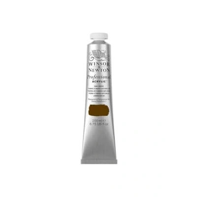 Abbildung von Winsor &amp; Newton 2337554 Professional Acrylfarbe in Künstlerqualität, hohe Farbbrillanz Deckkraft, Archivqualität, 200ml Tube Umbra Natur